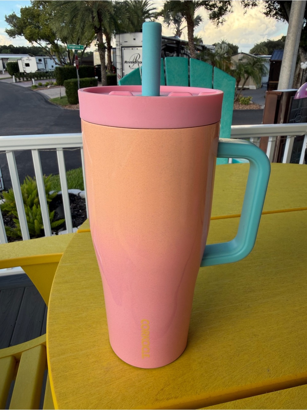 Ombré corkcicle cup with straw